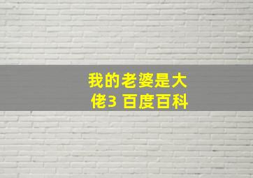 我的老婆是大佬3 百度百科